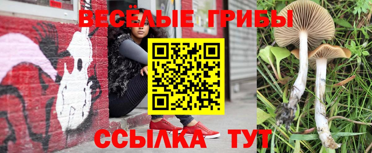 даркнет сайт  Вход с VPN  Алексеевка  Псилоцибиновые грибы ЛСД 