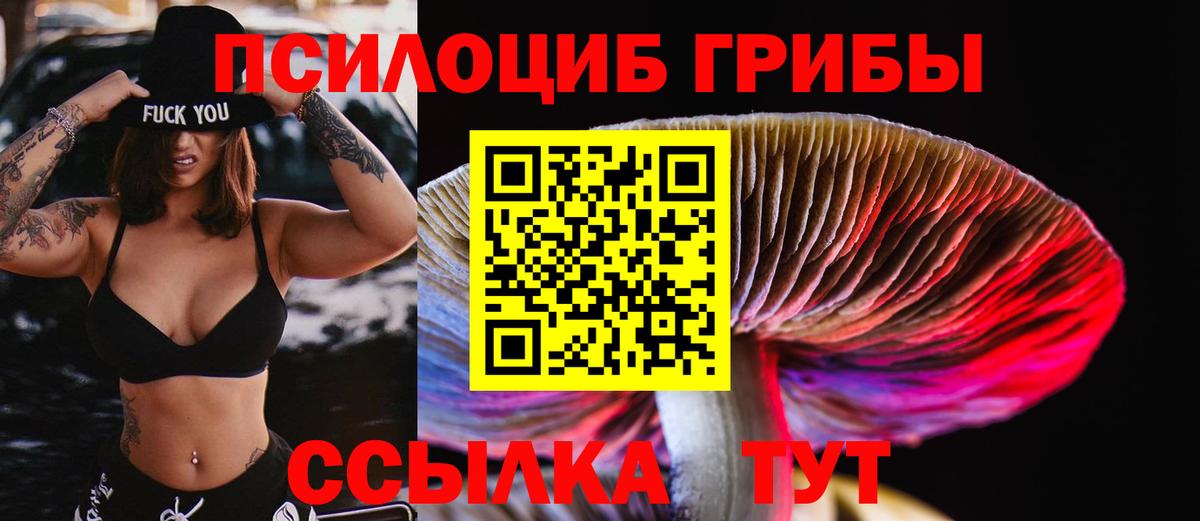 Псилоцибиновые грибы прущие грибы Алексеевка